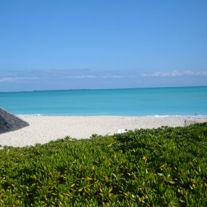 Abaco
