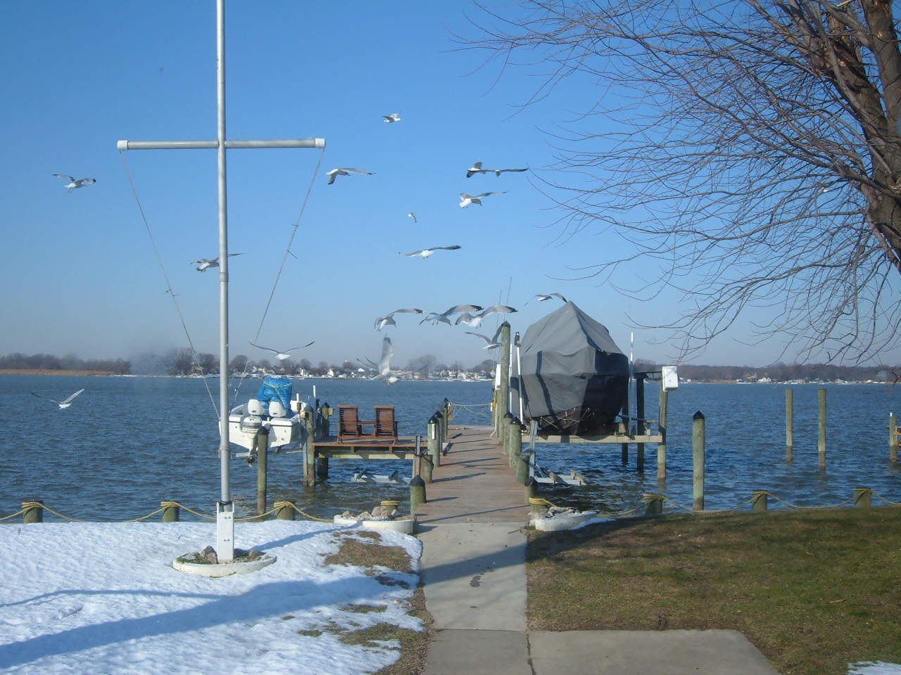 DSCF0737