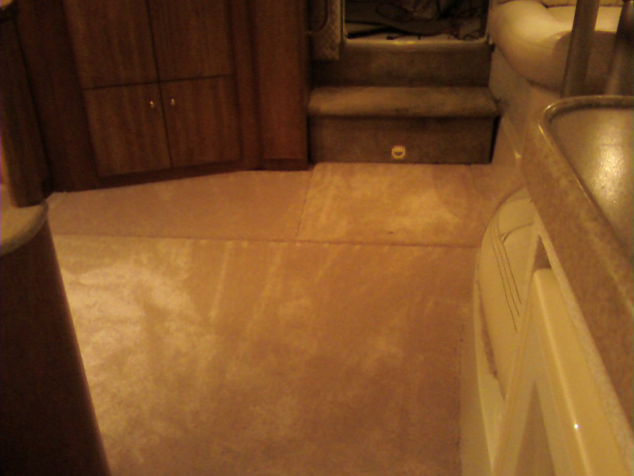 Salon Carpet 2